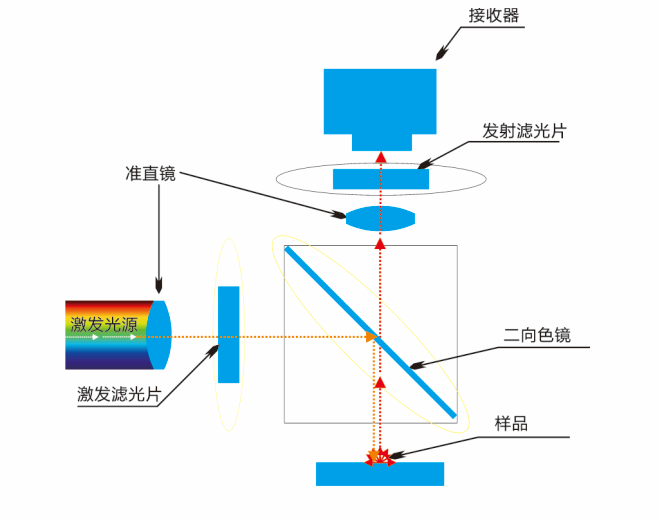 荧光染料探针滤光片